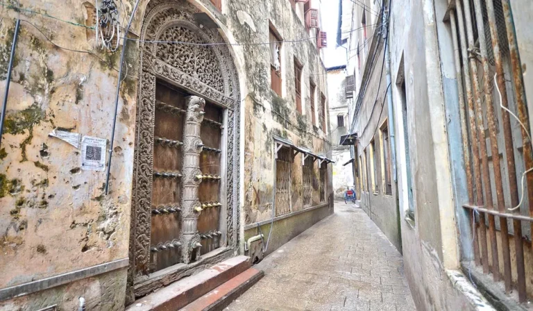 Projects zanzibar island 10