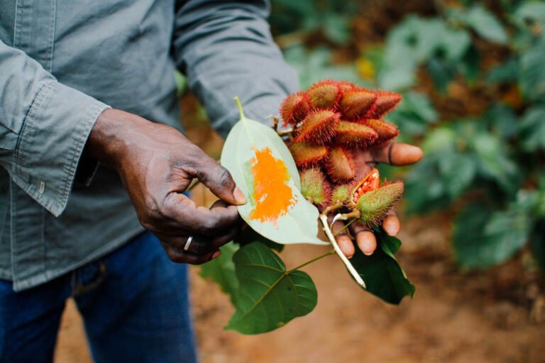 Projects zanzibar spice tour 01