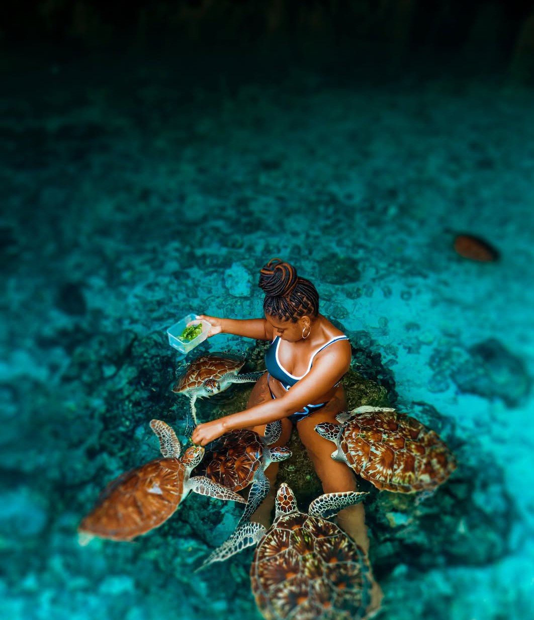 Projects nungwi sea 2