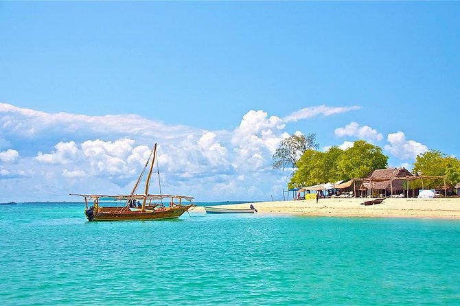 Projects safari blue